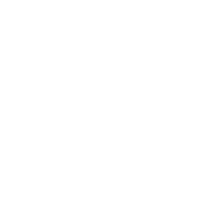 VIP / CLOSE PROTECTION